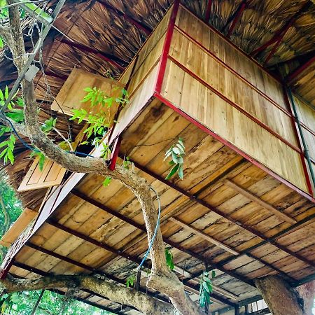 Hotel Muong Retreat- Nghi Duong Xanh Trong Bao Tang Van Hoa Nghe Thuat,Hòa Bình Extérieur photo