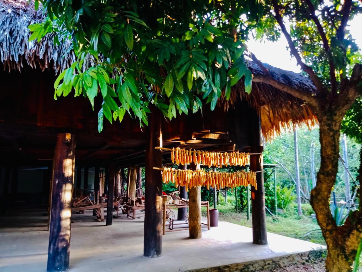 Hotel Muong Retreat- Nghi Duong Xanh Trong Bao Tang Van Hoa Nghe Thuat,Hòa Bình Extérieur photo