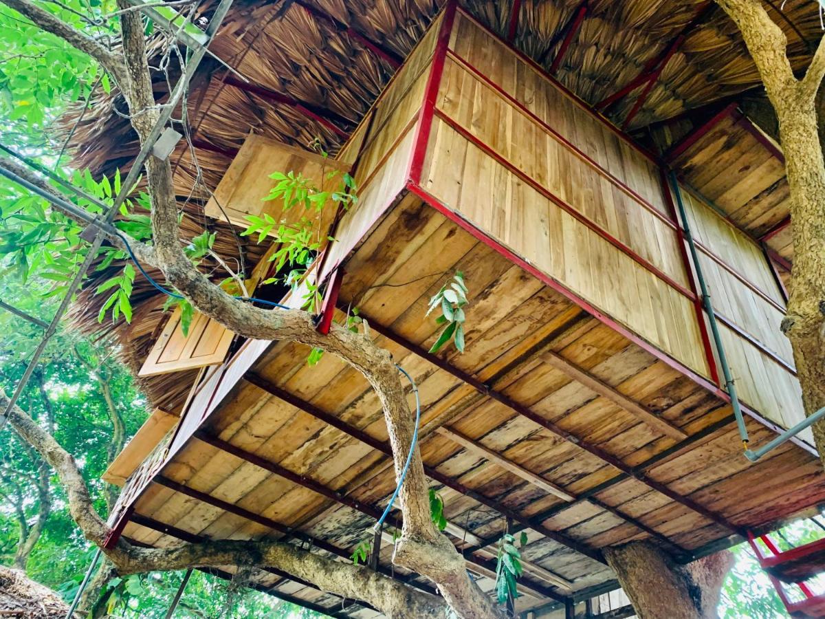 Hotel Muong Retreat- Nghi Duong Xanh Trong Bao Tang Van Hoa Nghe Thuat,Hòa Bình Extérieur photo